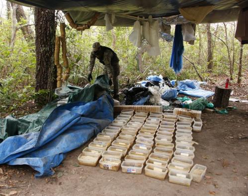 Operación Paso Bravo: Desmantelan “laboratorio drogas” en el Parque Nacional